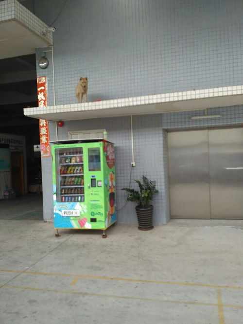 長沙飲料售賣機(jī)代理免費(fèi)投放與建筑材料行業(yè)協(xié)同發(fā)展